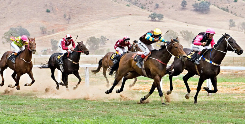 Danh sách các loại vé cược đua ngựa trực tuyến phổ biến nhất thị trường cá cược