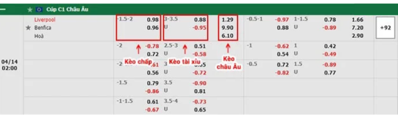 Soi kèo, tỷ lệ cá cược Liverpool vs Benfica 2h00 - 14/4
