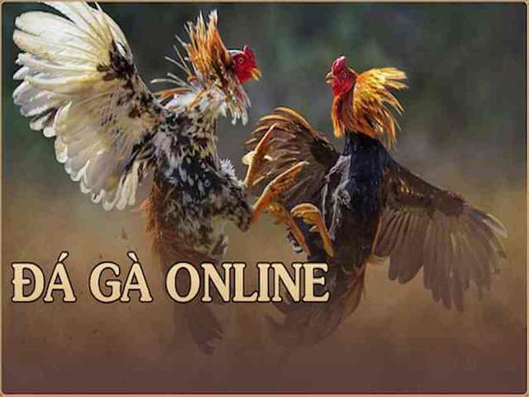 Đá Gà Online Là Gì Cá Cược Đá Gà Tại Gemwinpro.com